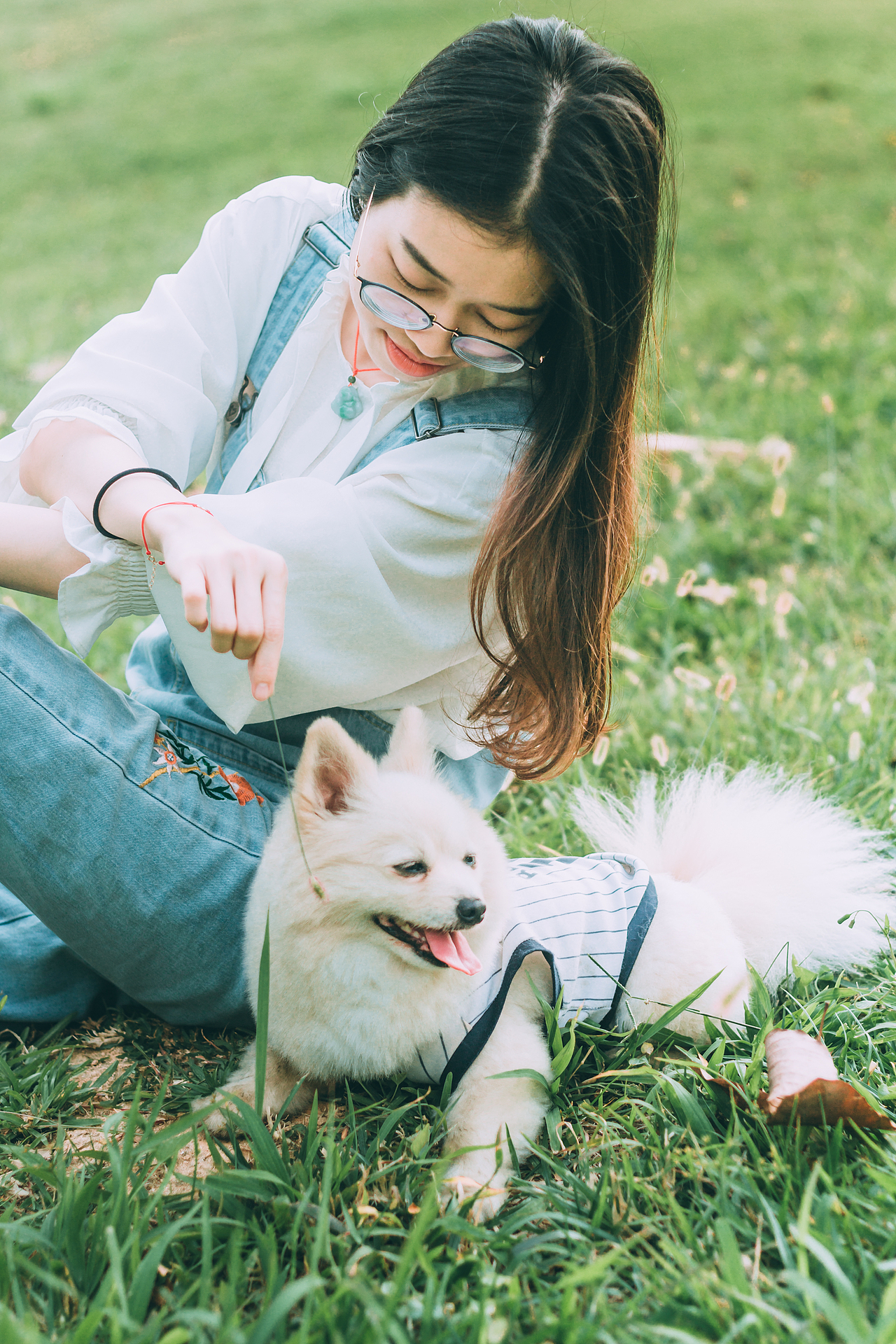 细嗅野草的滚滚