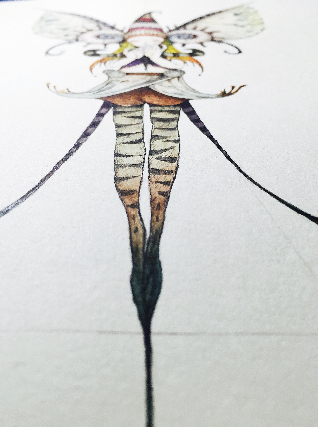 毛虫仙女 手绘插画(附绘画流程)