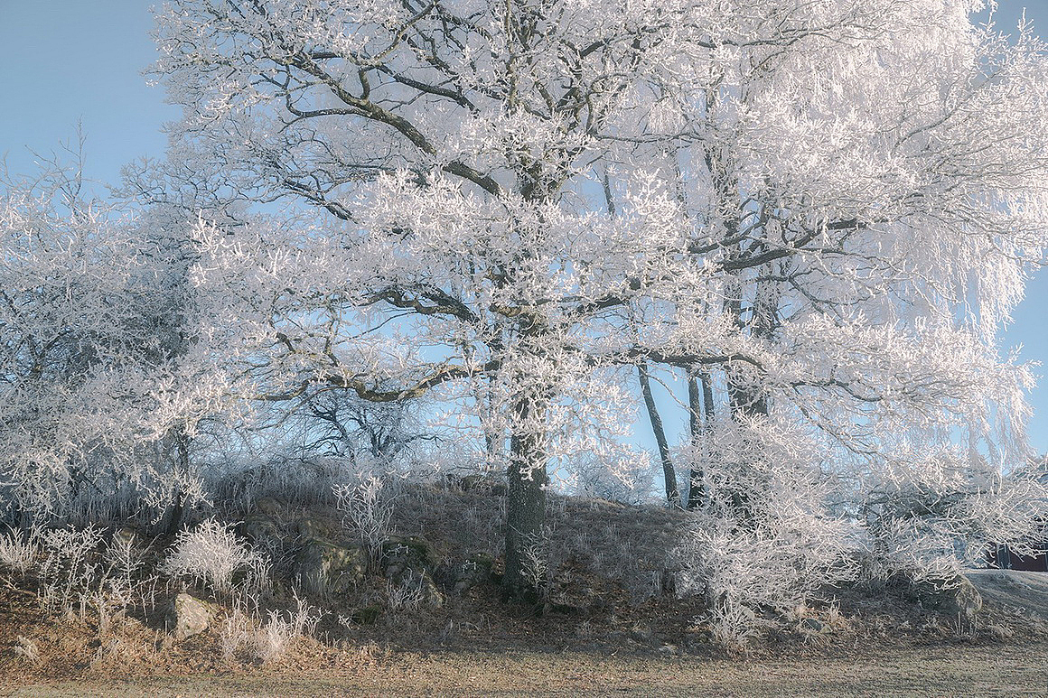 北欧摄影素材（图ZMTQ2MDk3ODg0） - 产品摄影 - 站酷设计师逻辑流的老张原创素材 - 站酷ZCOOL