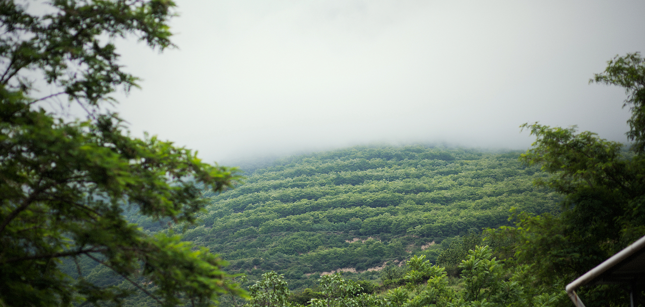 摘车厘子之行（图ZMTE2OTA0NzUy） - 风光摄影 - 站酷设计师哈龙工作室原创素材 - 站酷ZCOOL