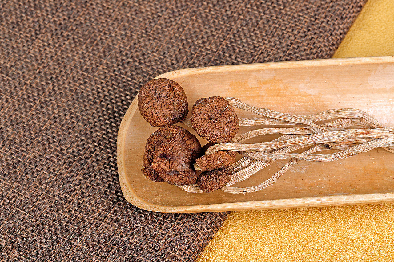 茶树菇-产品拍摄