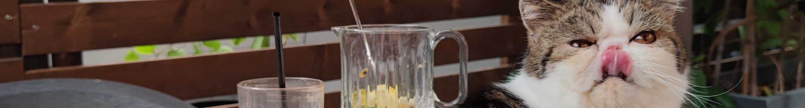 滐流的个人主页（封面预览） - 主页封面设置 - 站酷设计师滐流原创素材 - 站酷ZCOOL