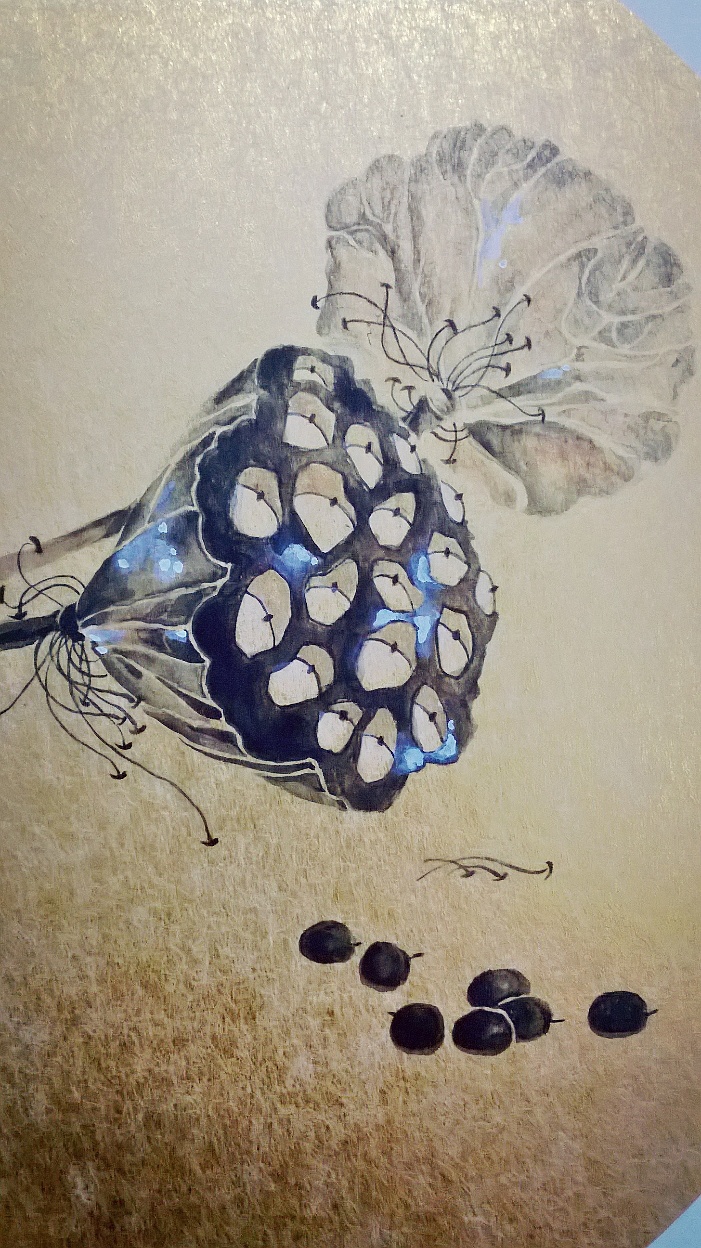 《莲子》—《双鱼》—《花》