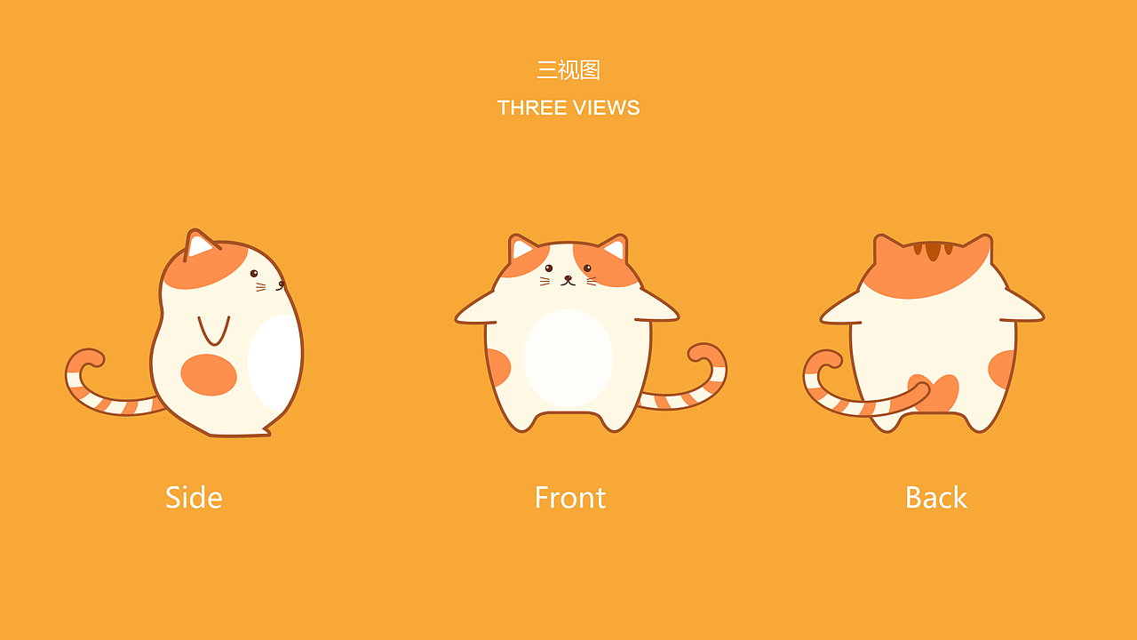 枕头猫 |卡通ip形象设计