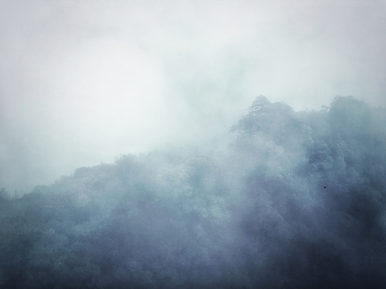 iphone6s 摄影（图ZNzQ2NzA1MzY=） - 风光摄影 - 站酷设计师神奇芋头原创素材 - 站酷ZCOOL