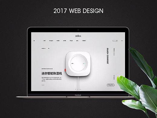 WEB设计