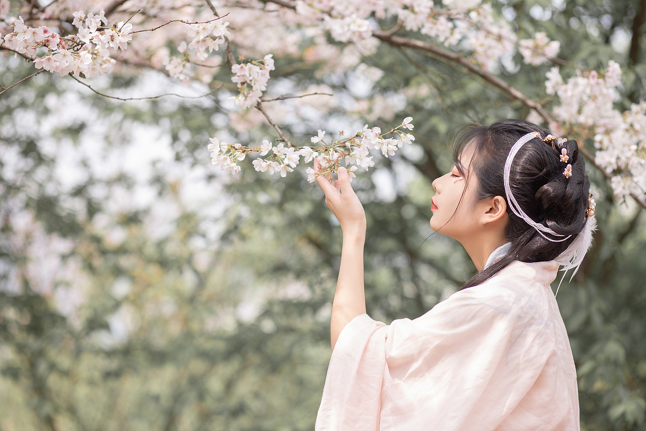 樱花汉服少女 红