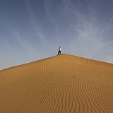 东道momo的头像
