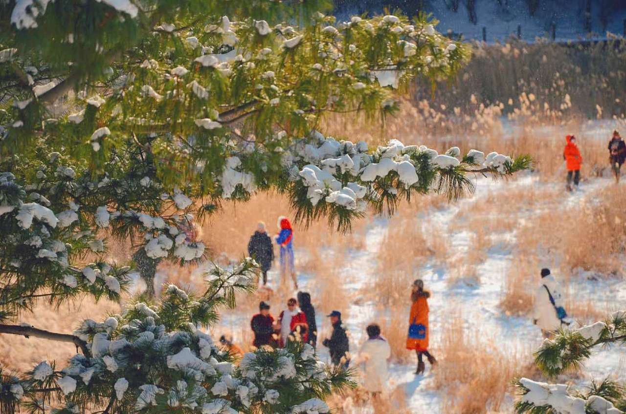 风景摄影（图ZMTQzOTM4NDU2） - 风光摄影 - 站酷设计师MichelTao原创素材 - 站酷ZCOOL