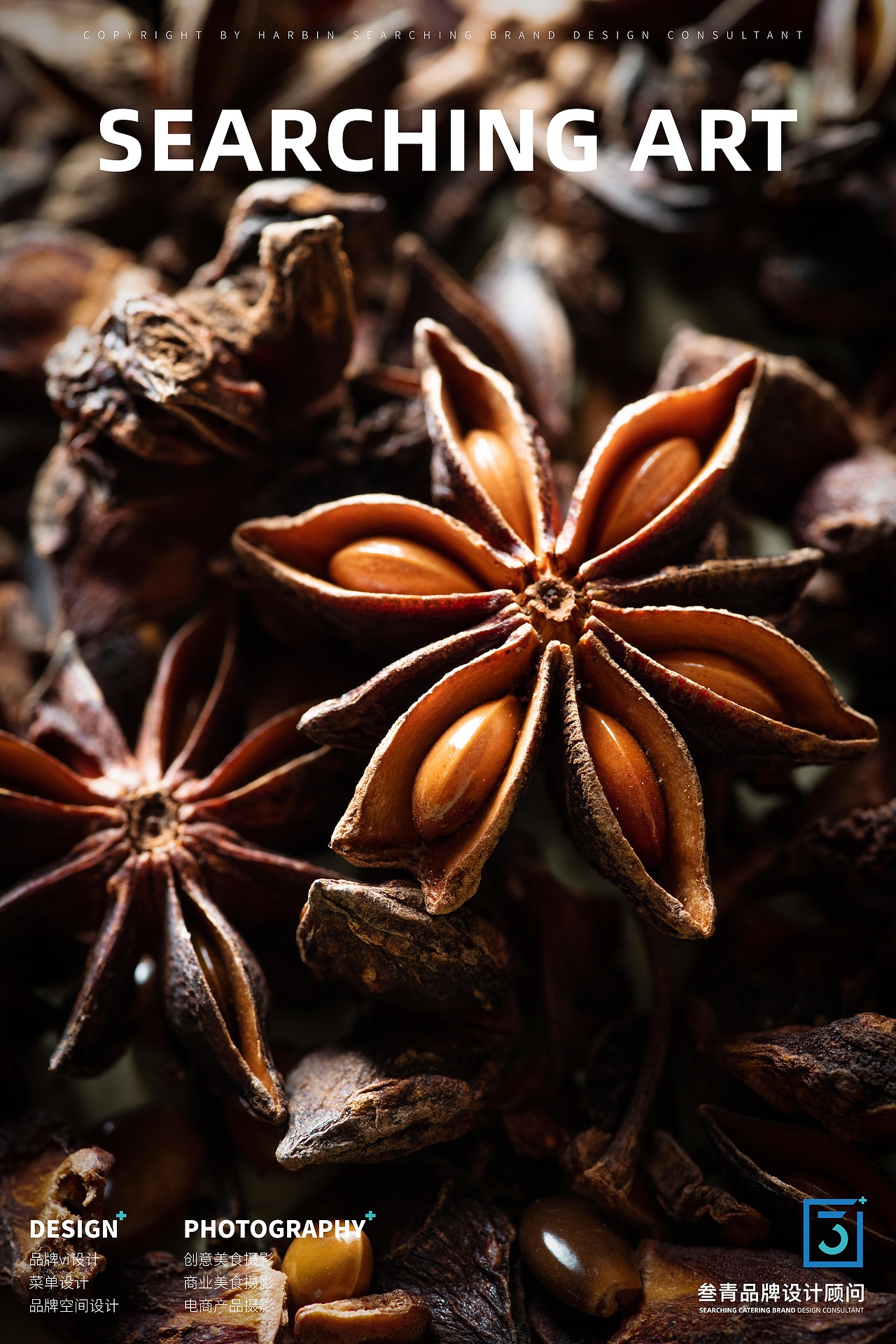 叁青品牌美食摄影 | 食材