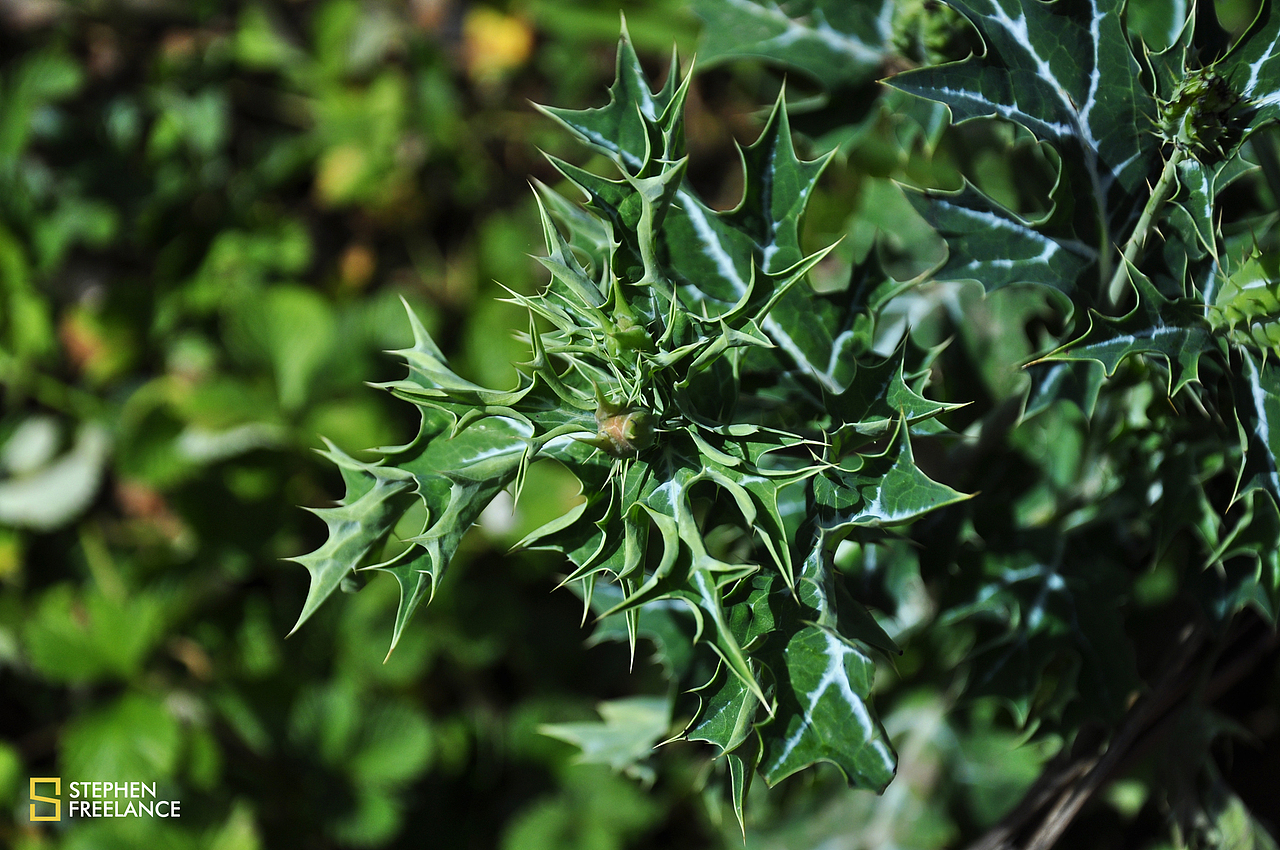 我只是觉得 ,这个很带感。