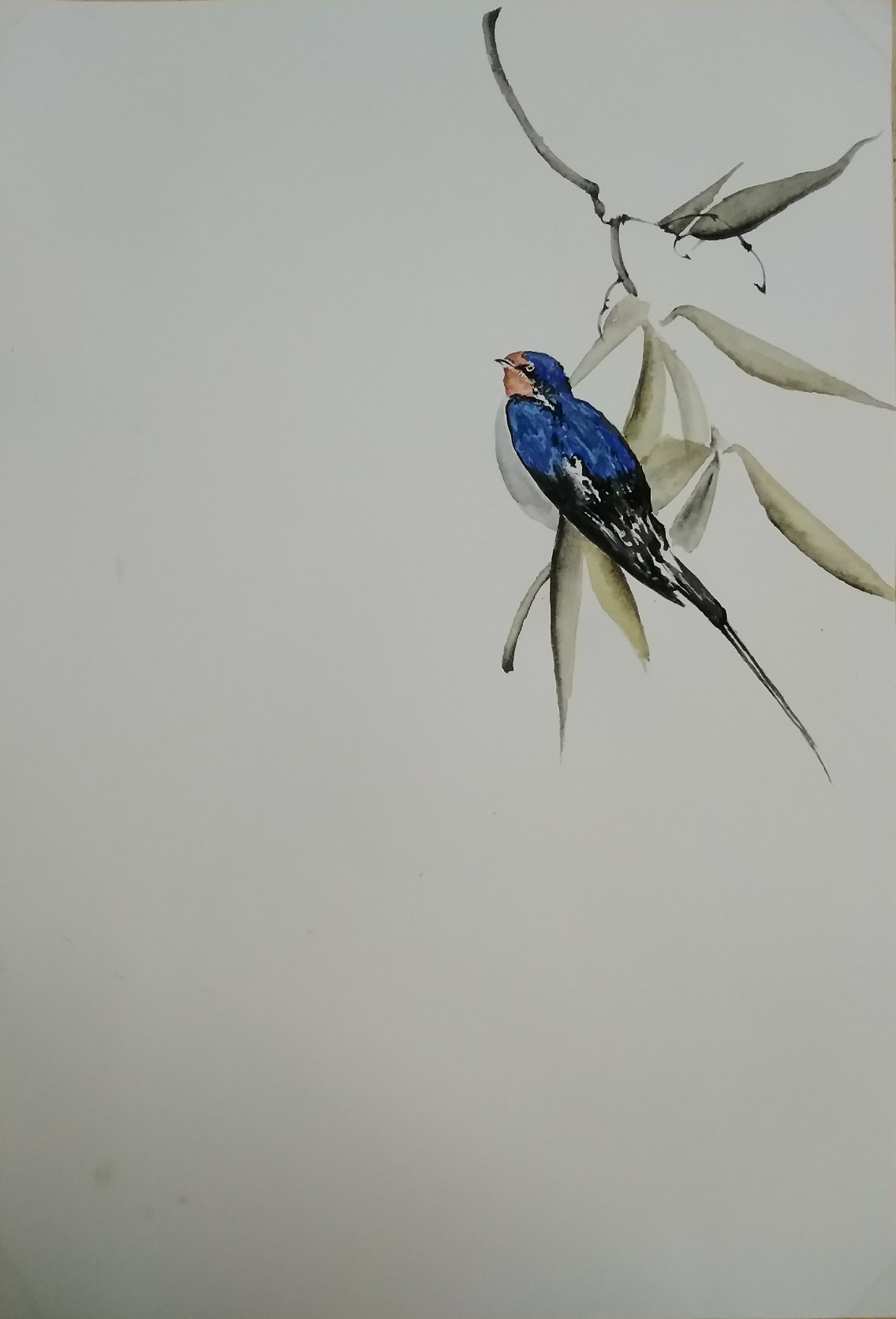 水彩-《燕子》|纯艺术|绘画|老吴绘画 - 原创作品 - 站酷 (zcool)
