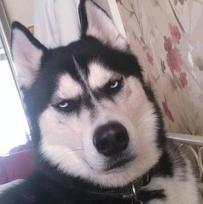 黑暗骑士小丑（图ZNzg5NzU3NzY=） - 艺术插画 - 站酷设计师小王子殿下原创素材 - 站酷ZCOOL