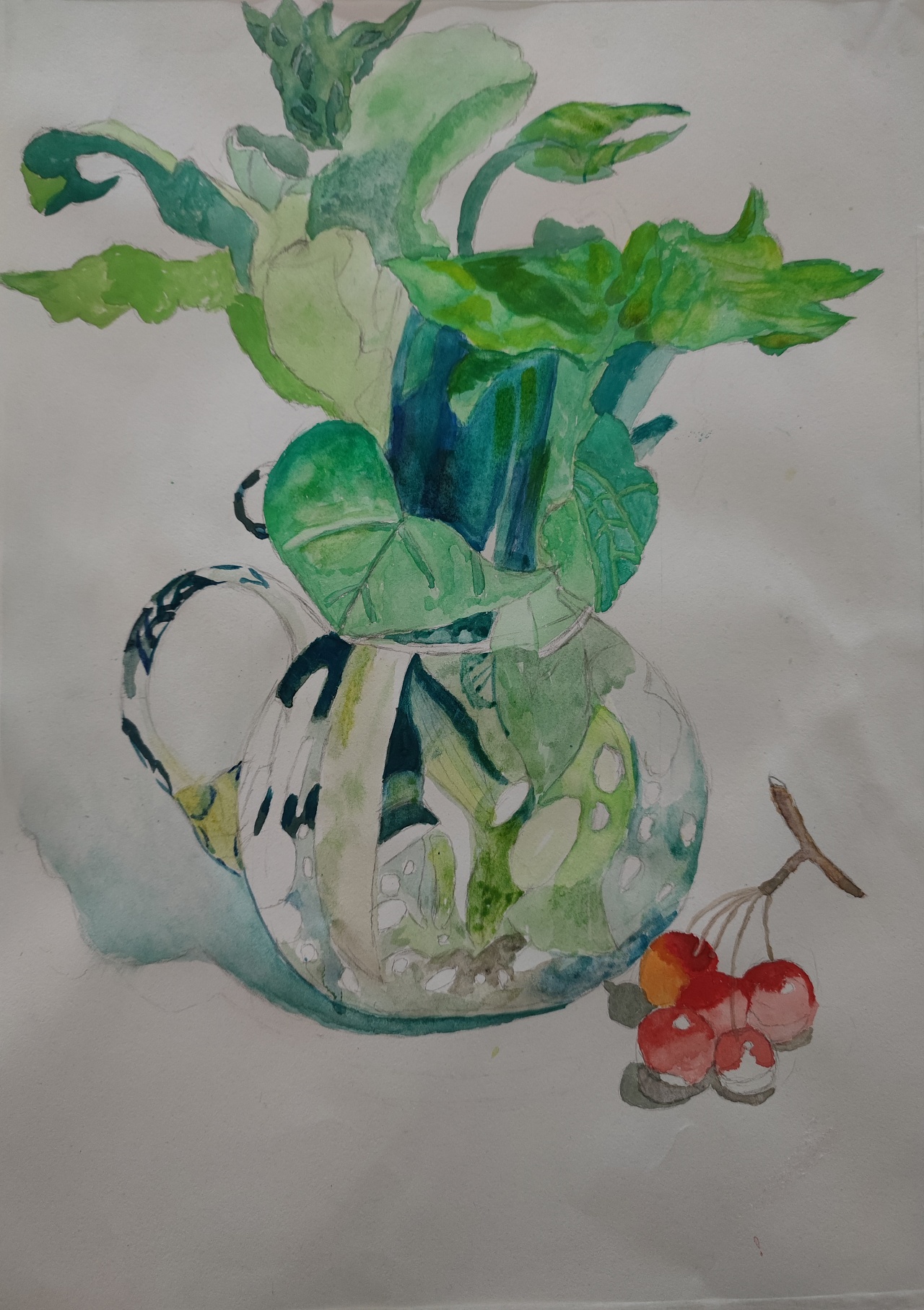 水彩绿萝,写实长沙 |                       