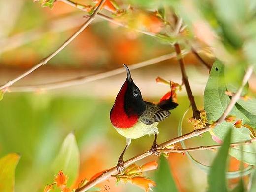 随拍（个人主页-ZNTg3MTcwMjg=） - 风光摄影 - 站酷设计师Z52262726原创素材 - 站酷ZCOOL