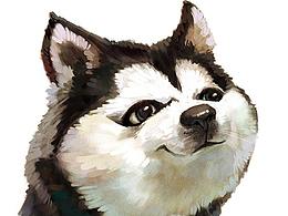 插画