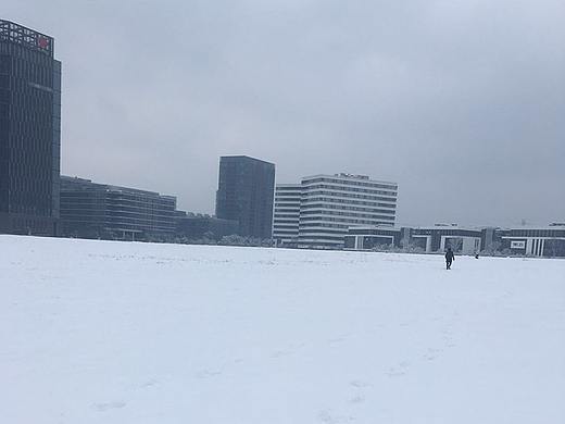 雪儿