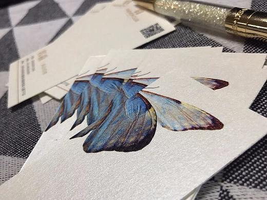 蓉丞设计工作室--破茧成蝶名片设定