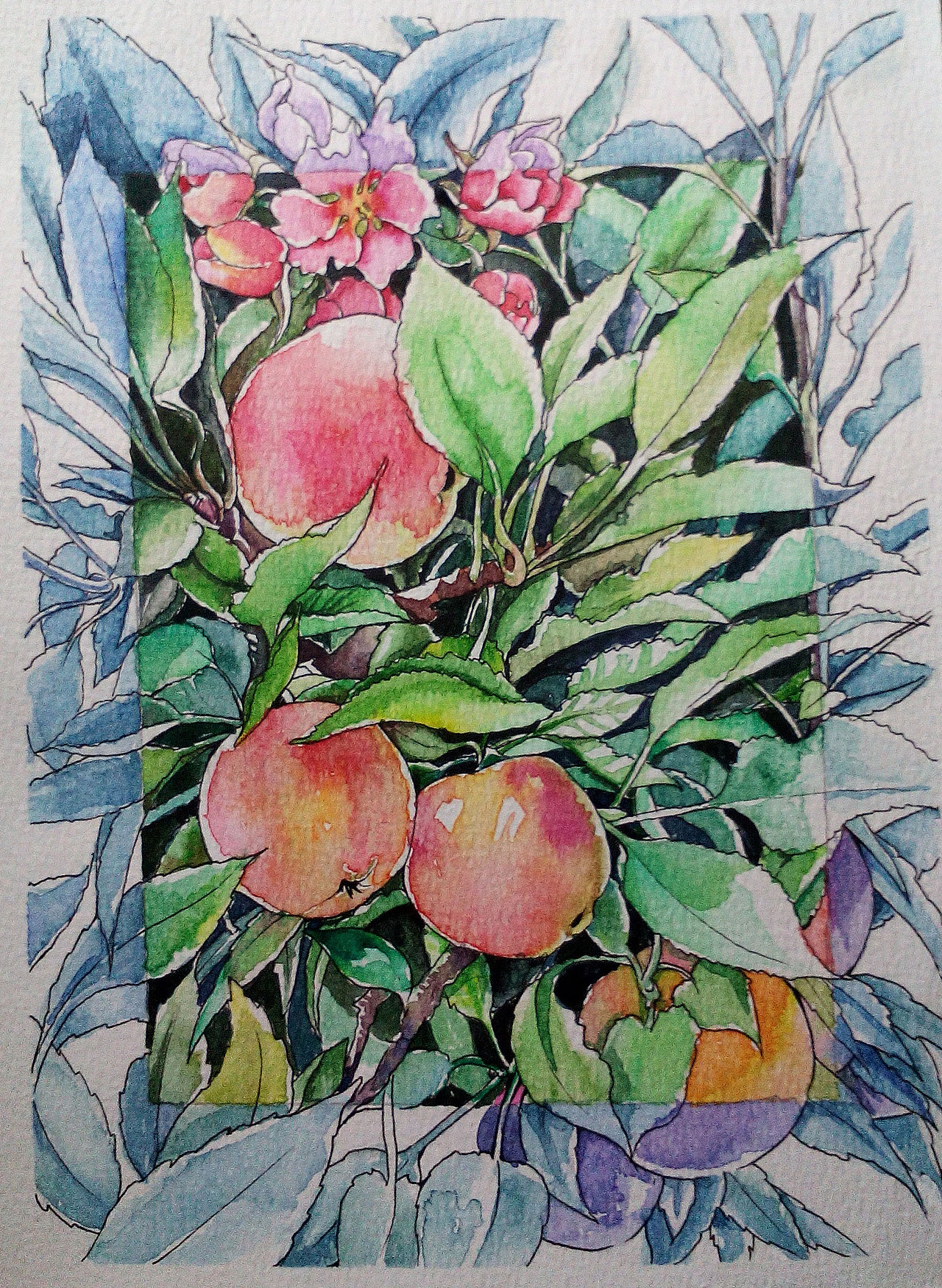 水彩系列练习苹果树