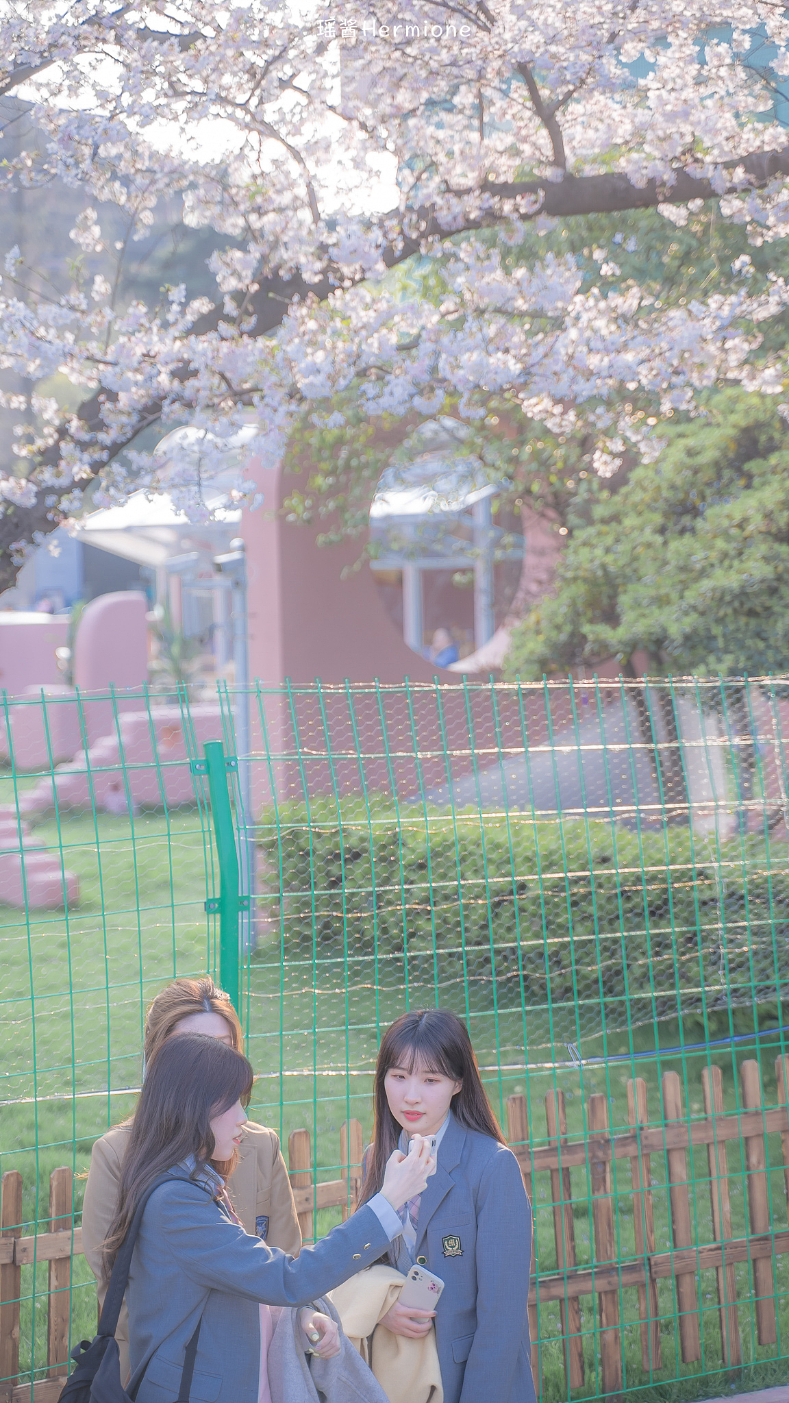 没有一个春天不会到来 | 时隔一年，武大樱花如约而至（图ZMjQ3MzgxMTg4） - 人文/纪实摄影 - 站酷设计师瑶酱Hermione原创素材 - 站酷ZCOOL