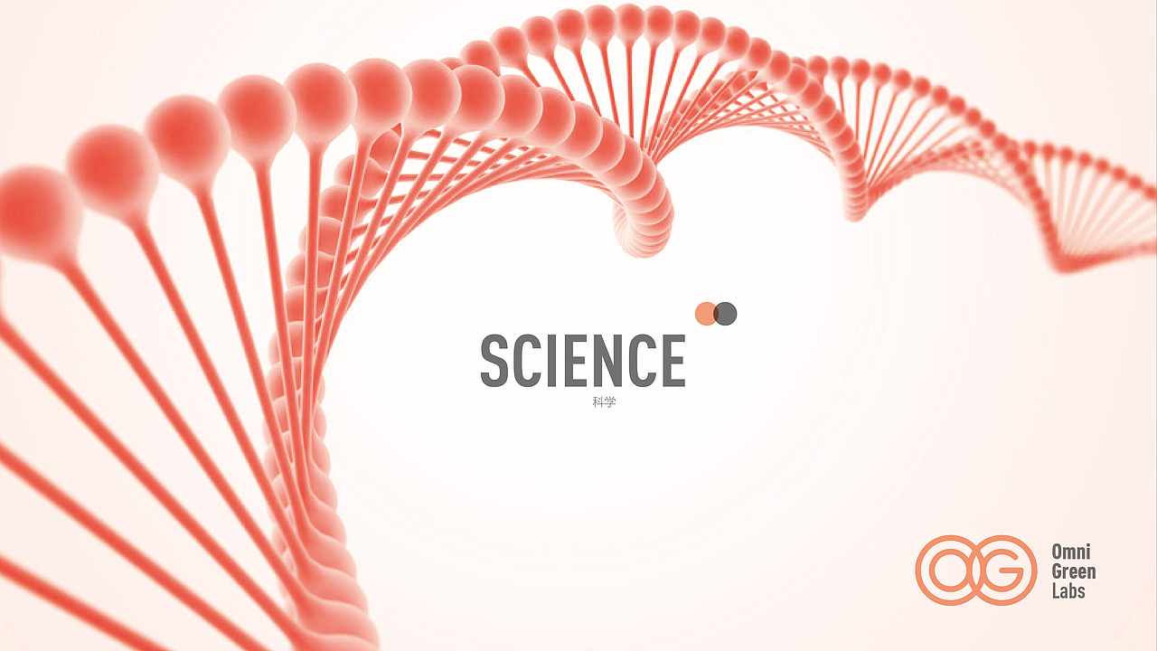 OG BRAND（图ZMzk4MTgyMDA=） - Logo - 站酷设计师阁楼妖怪原创素材 - 站酷ZCOOL