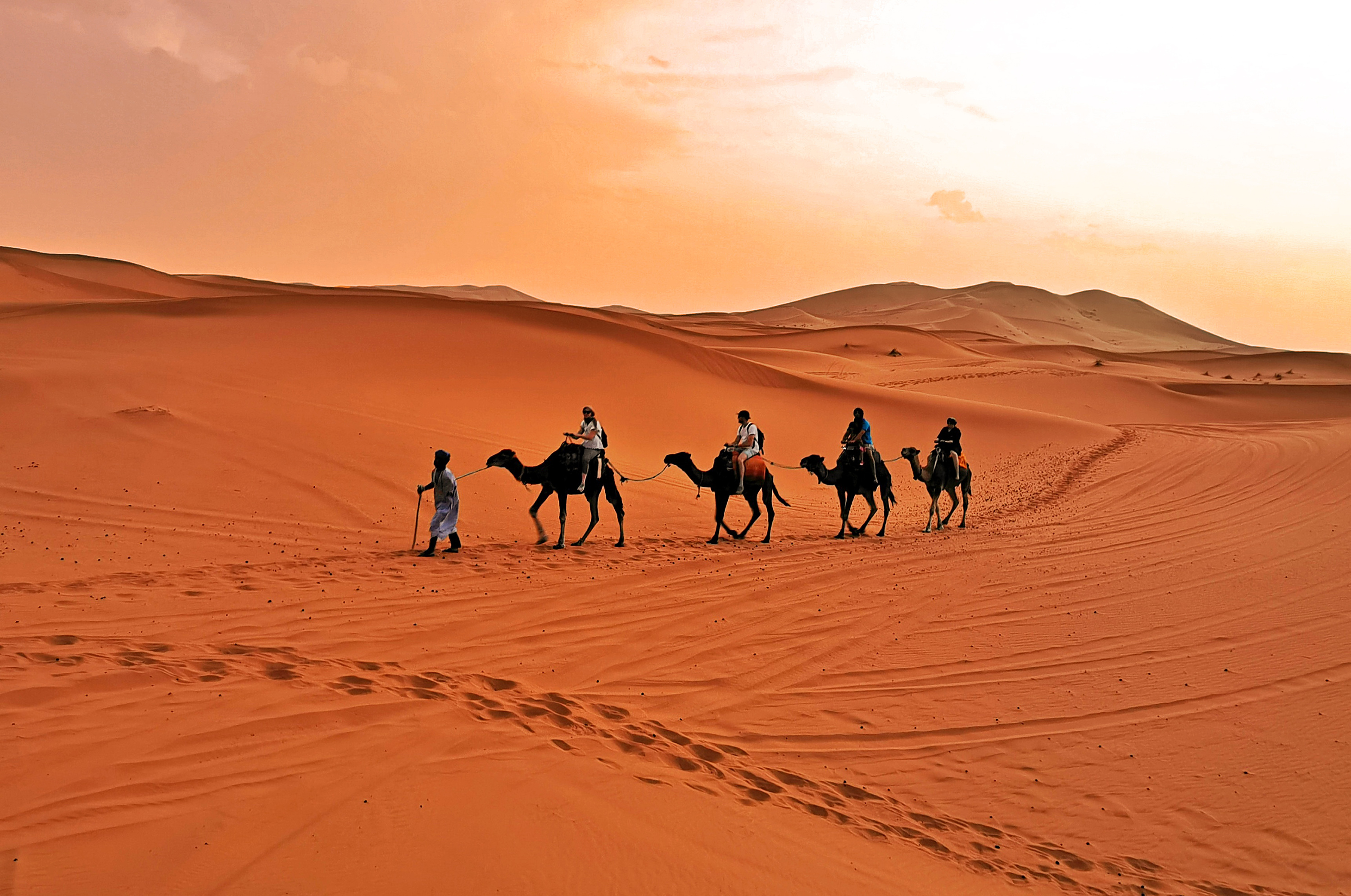 摩洛哥游记 重走三毛笔下的撒哈拉沙漠_梅尔祖卡
