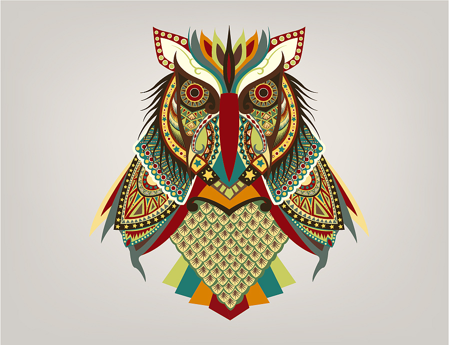 The owl 猫头鹰插图