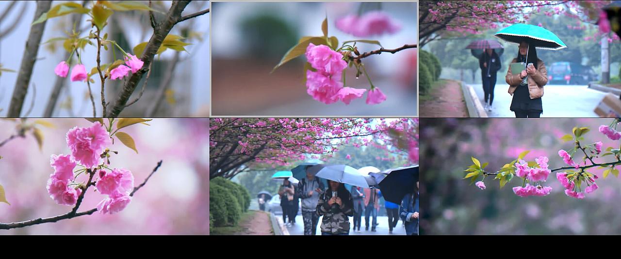 6D魔灯raw 14bit 调色（视频）（图ZNDUwMDc1MDQ=） - 其他摄影 - 站酷设计师seemon周军原创素材 - 站酷ZCOOL