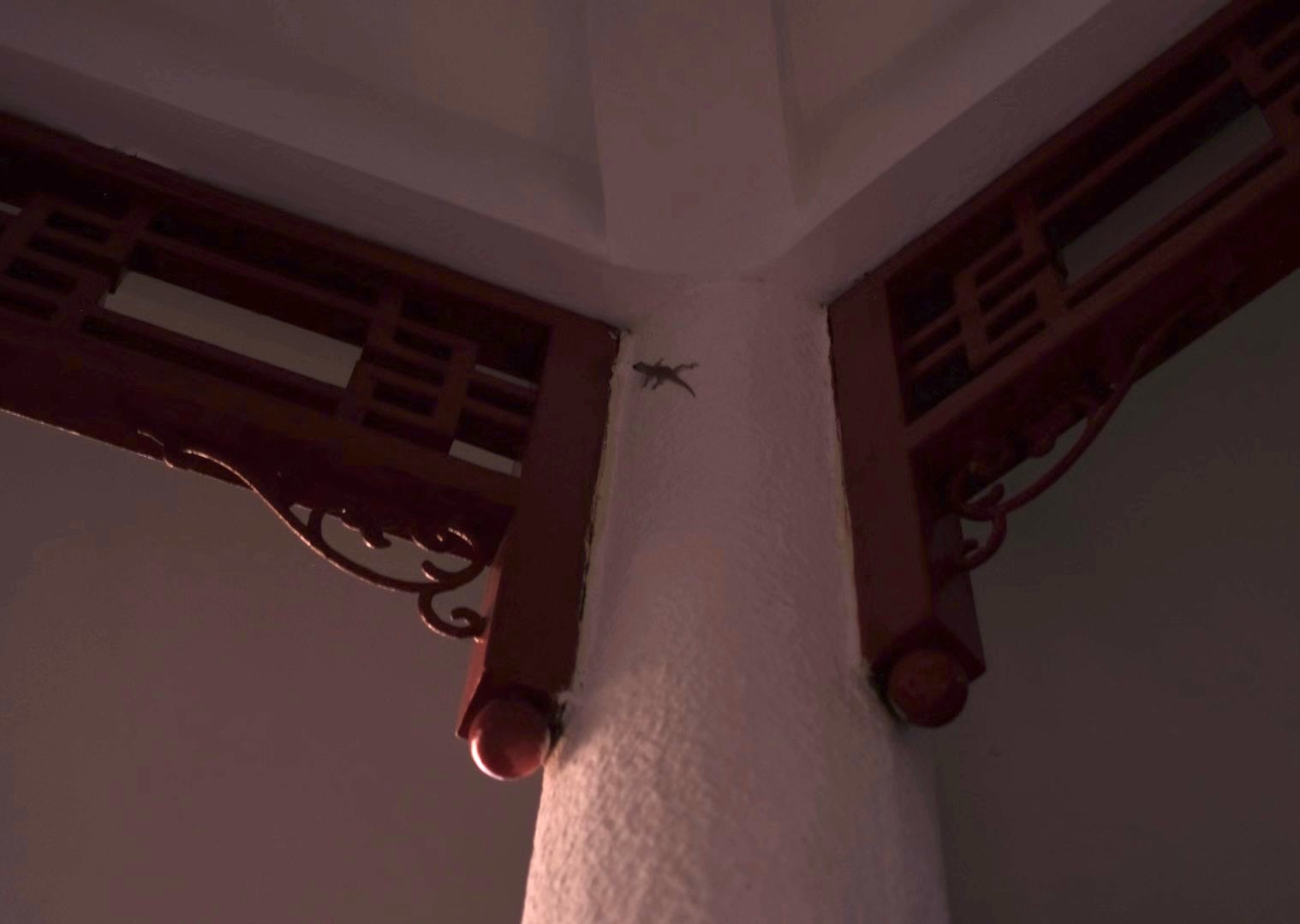 子涵Zian的個人主頁（背景預(yù)覽） - 主頁背景設(shè)置 - 站酷設(shè)計師子涵Zian原創(chuàng)素材 - 站酷ZCOOL