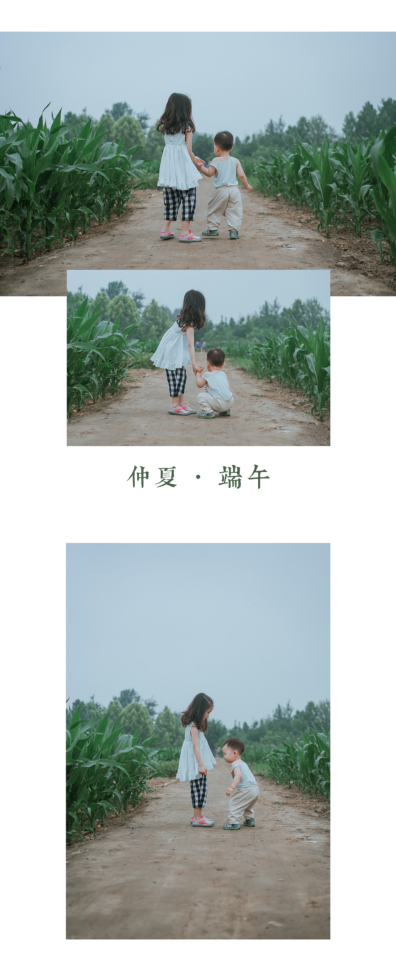 端午节到了,去看看奶奶的菜园子里长出了什么?