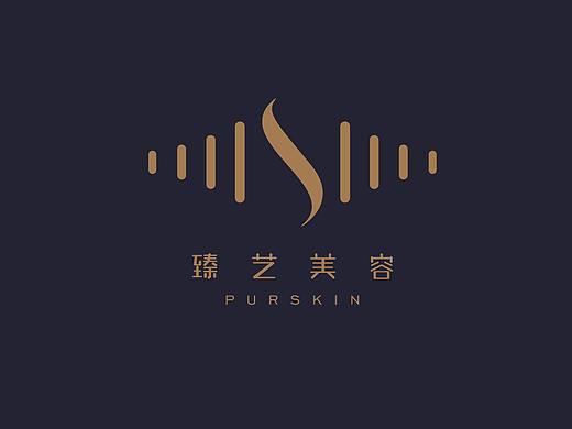 臻艺美容院vi设计
