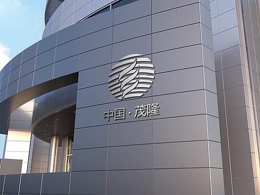 金融类品牌形象设计