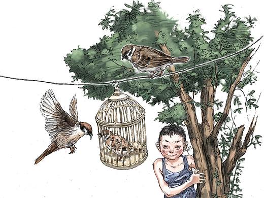 儿童文学《雀儿妈妈和她的孩子》名家汇