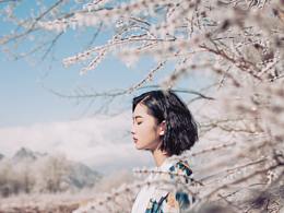 摄影