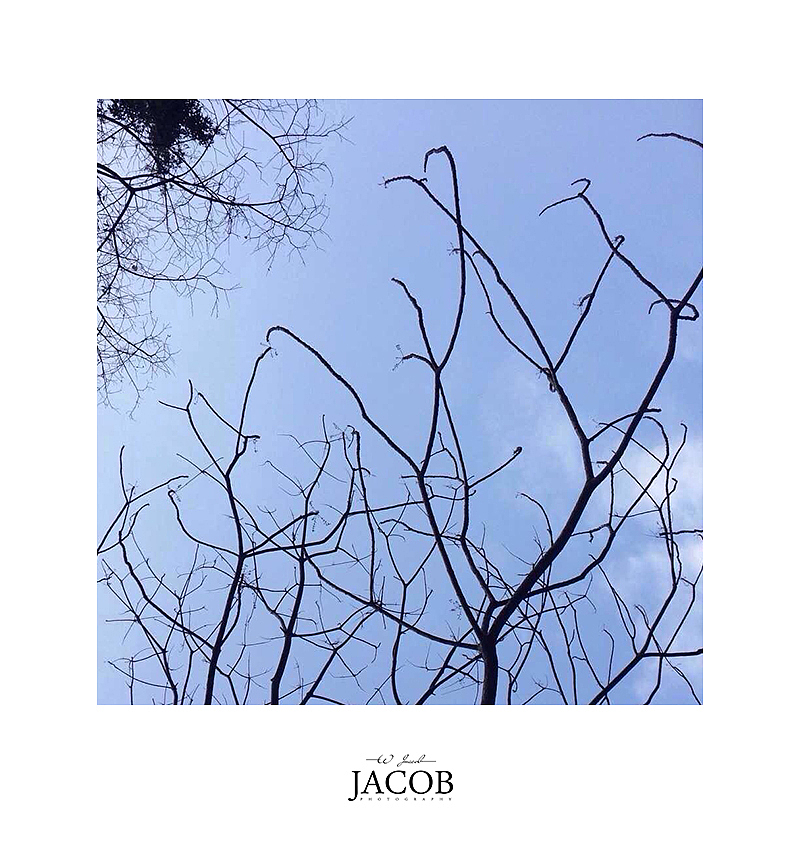 Life（图ZNDUzNTAyNTY=） - 其他摄影 - 站酷设计师JacobWong原创素材 - 站酷ZCOOL