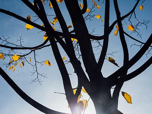 喀喇沁亲王府网页设计（个人主页-ZMjQ5ODg5MTI=） - 企业官网 - 站酷设计师搁浅月儿原创素材 - 站酷ZCOOL