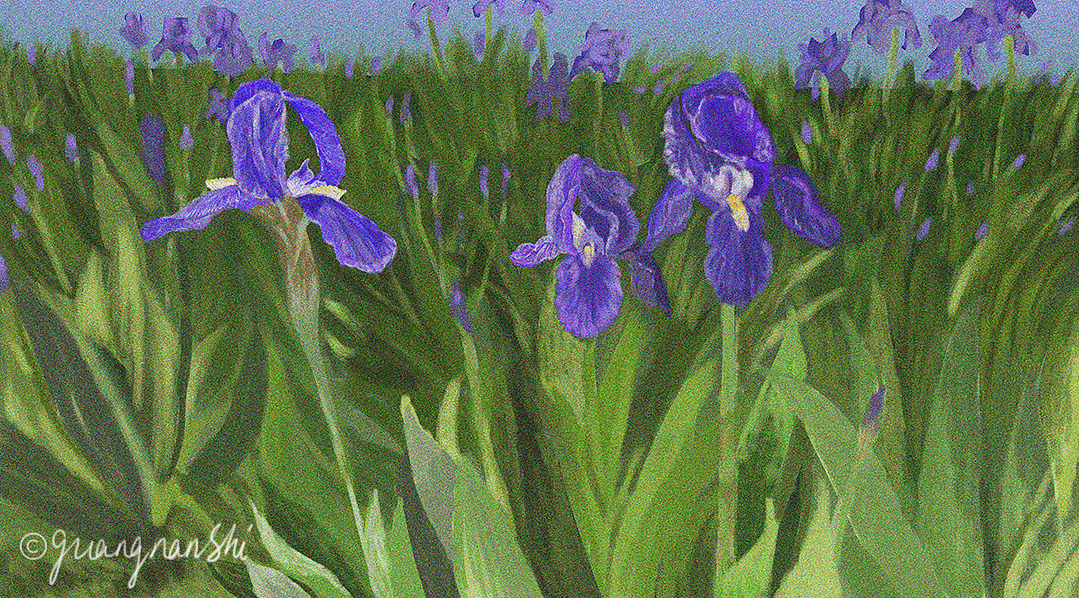 天涯之国 智利（图ZMjUyNzI3MTI4） - 商业插画 - 站酷设计师插画BoNanCible原创素材 - 站酷ZCOOL