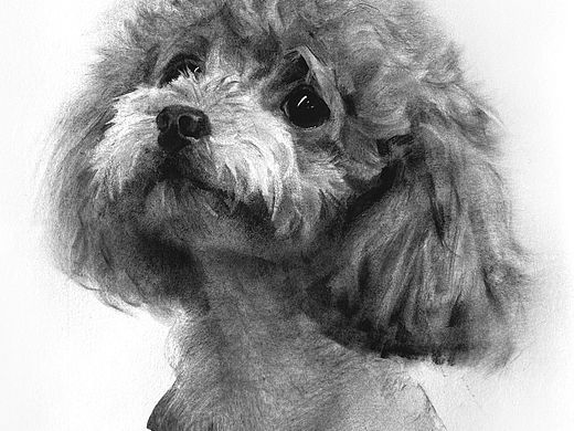 黑白插画也可以很好看不是吗？