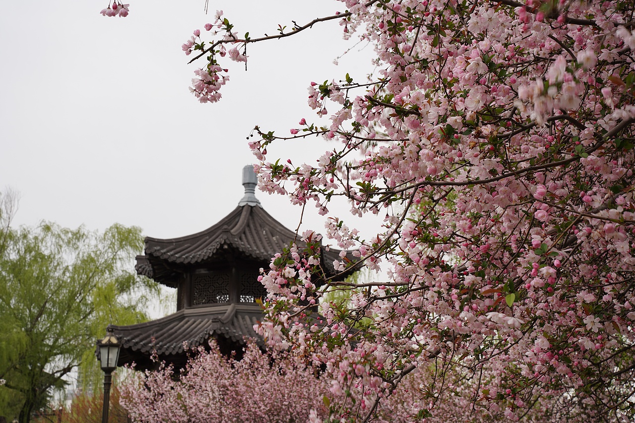 南京莫愁湖公园