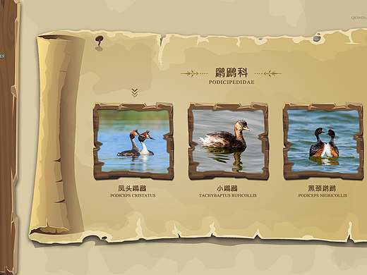 邛海国家湿地公园-互动答题卡通界面方案