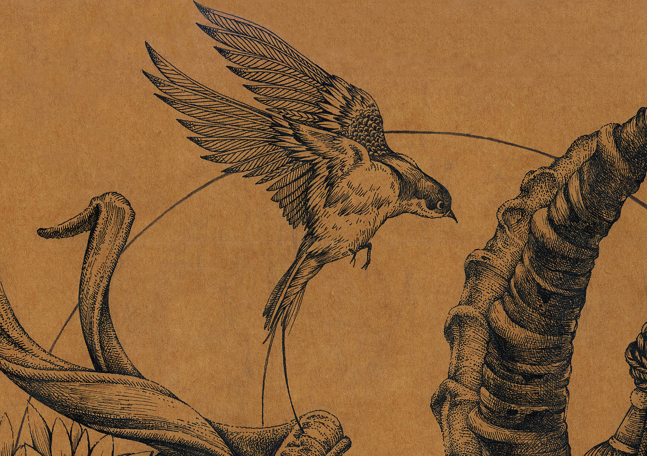 空凝系列——插画原创（图ZMjM2ODI1OTky） - 新锐潮流插画 - 站酷设计师张贇ILLUSTRATION原创素材 - 站酷ZCOOL