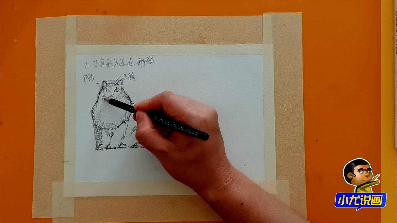 水彩画用正负形方法画猫