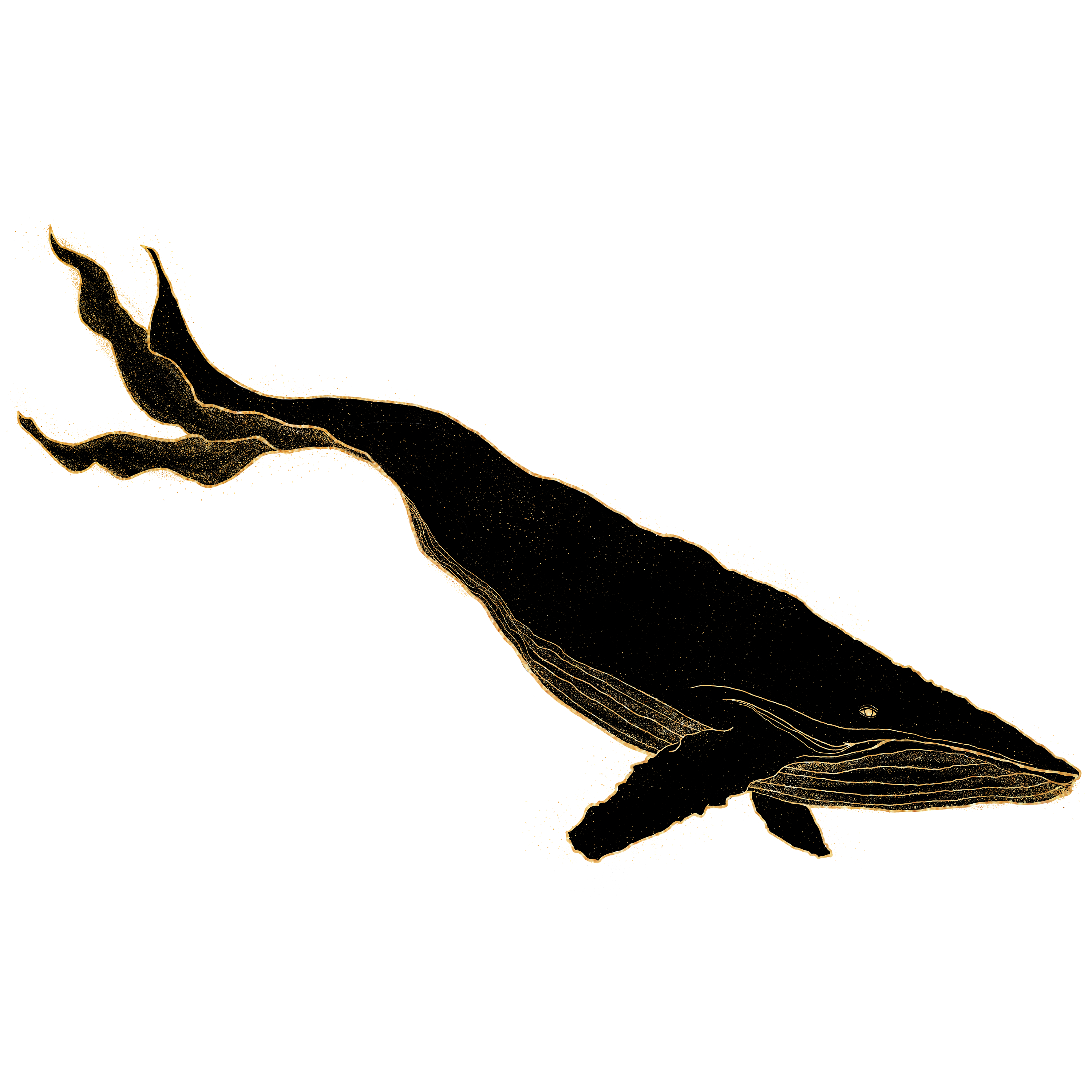 2020青春答卷#鲲鹏