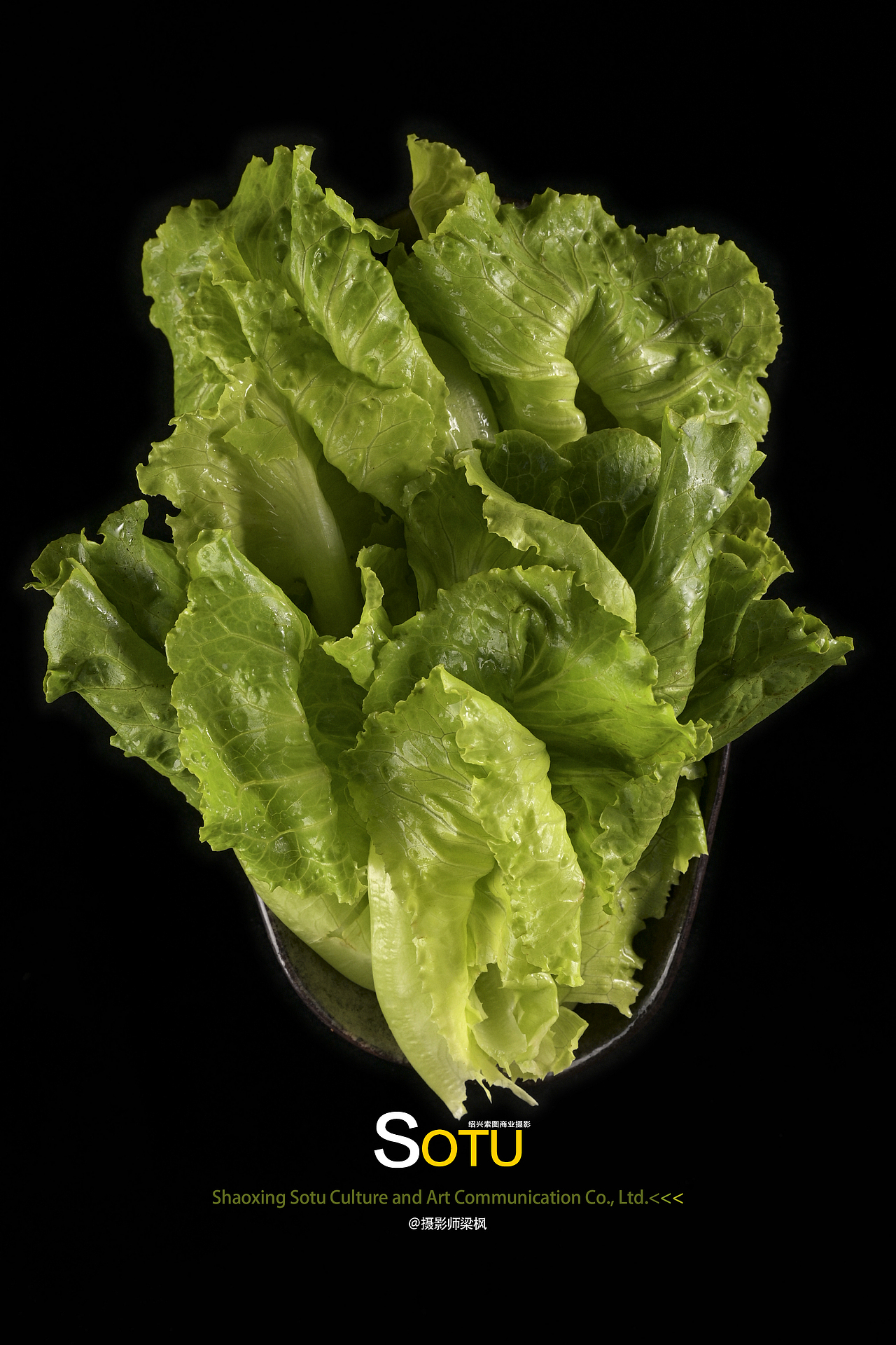 火锅/美食/菜肴拍摄/绿色蔬菜/绍兴菜肴美食