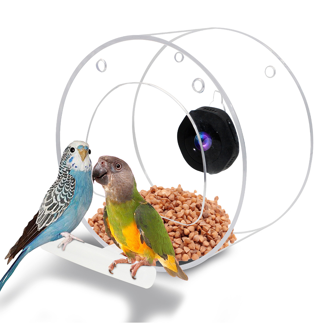 捕鸟器亚马逊主图/ A+