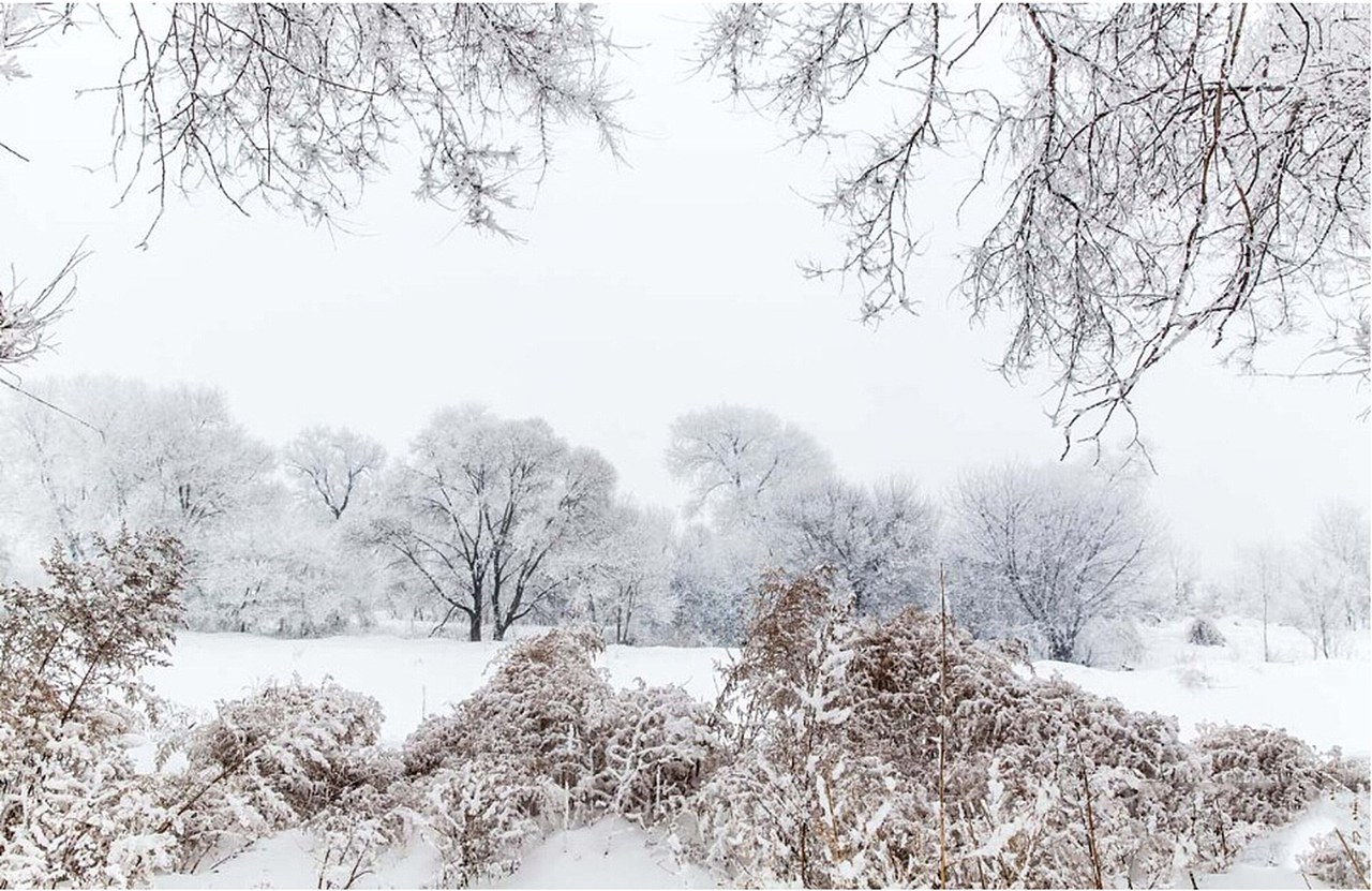 唯美雪景（图ZMjMzMTY3NDA=） - 风光摄影 - 站酷设计师手心里的温暖9447原创素材 - 站酷ZCOOL