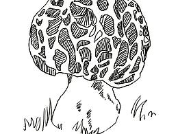 蘑菇-森林里的小房間