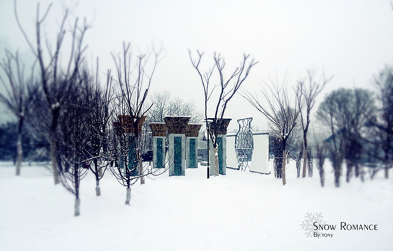 2014.02.06 雪景（图ZMTM5NDEwNjQ=） - 风光摄影 - 站酷设计师托尼三三原创素材 - 站酷ZCOOL