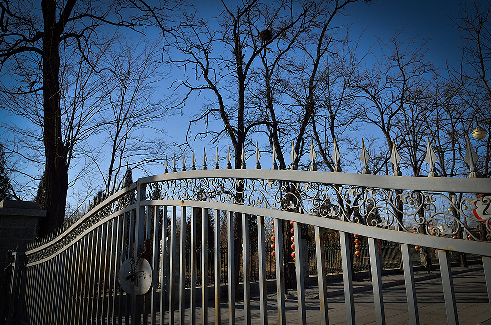 北大未名集团留影II