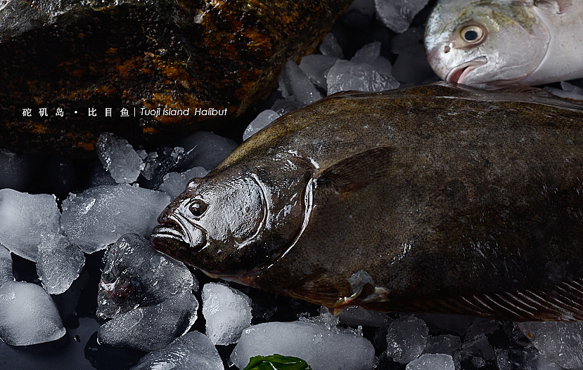 砣矶岛【金鲳鱼、黄花鱼、比目鱼】（图ZNTg0Njc0NzI=） - 产品摄影 - 站酷设计师摄影师董名扬原创素材 - 站酷ZCOOL
